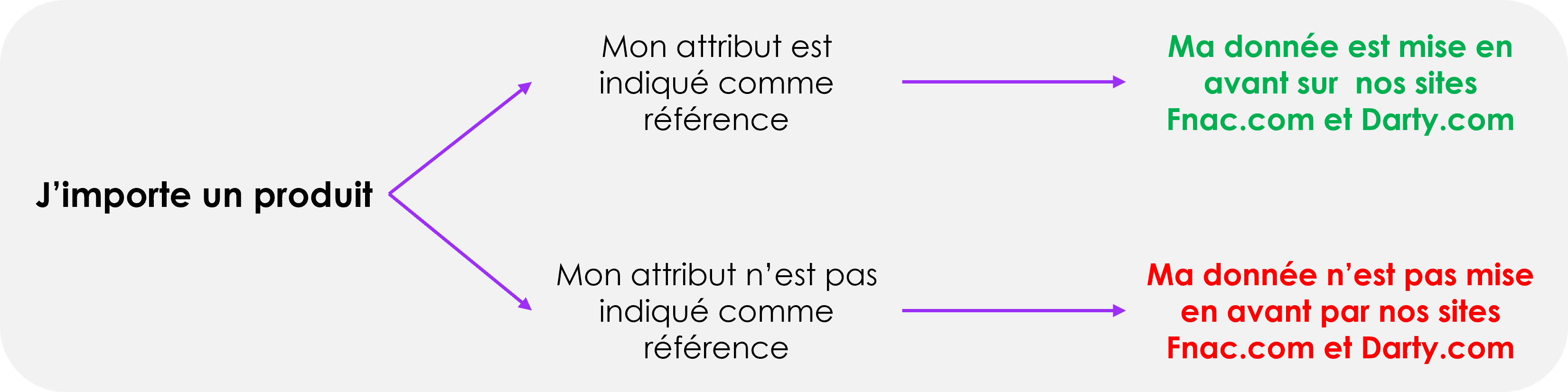 Schéma import fiche produit